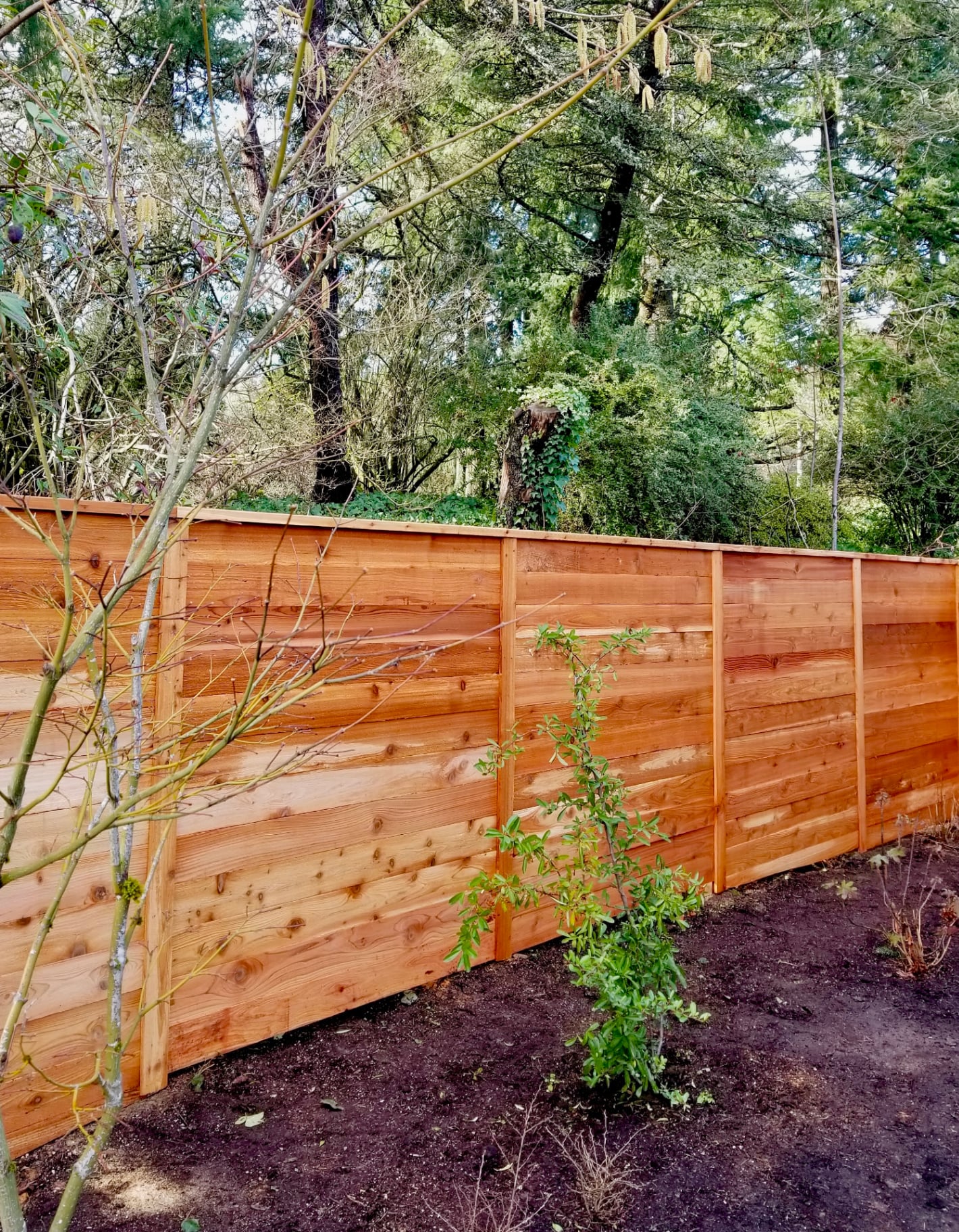 Lake Oswego · Horizontal Cedar Privacy
