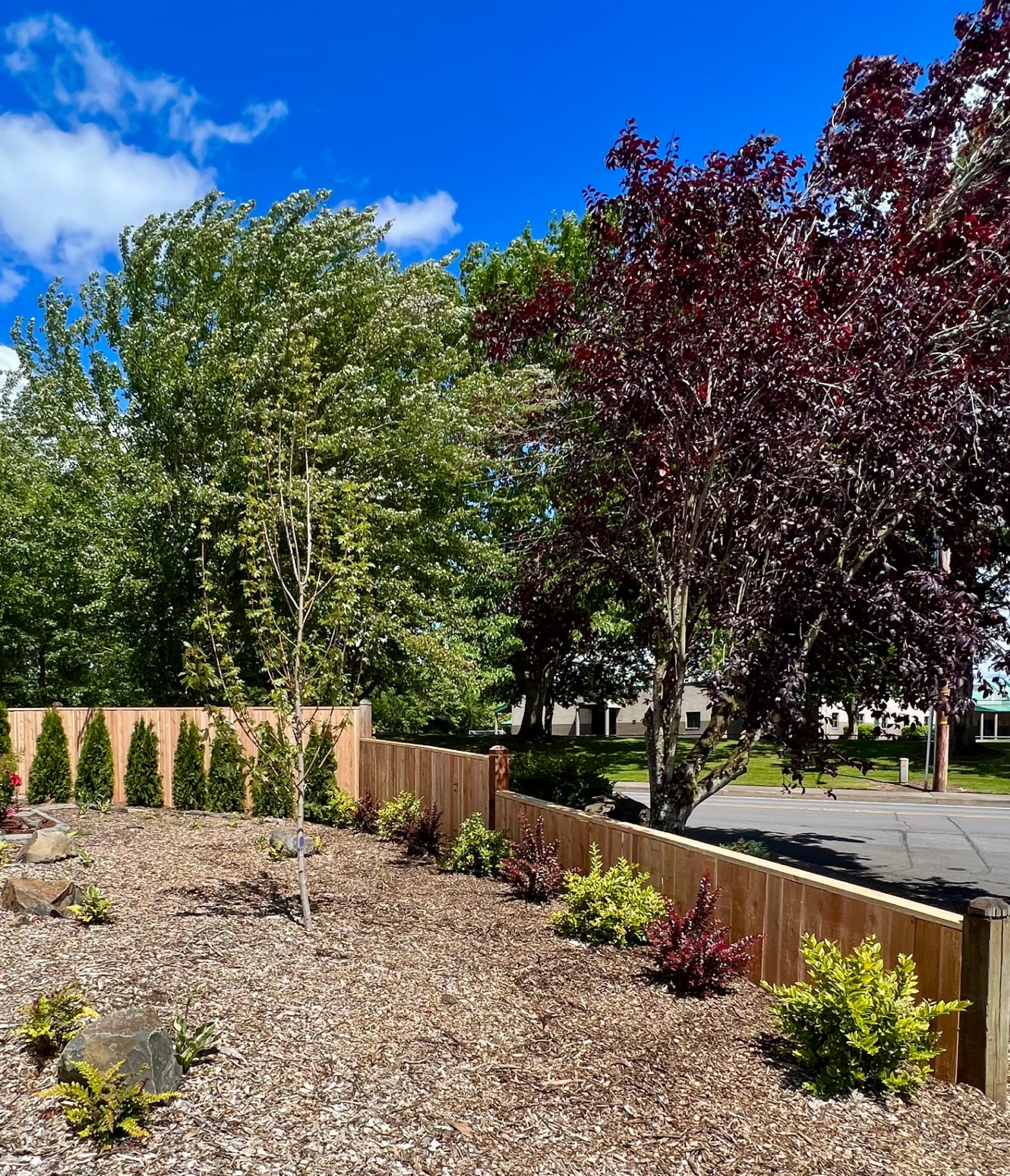 Portland · Cedar Privacy with Garden