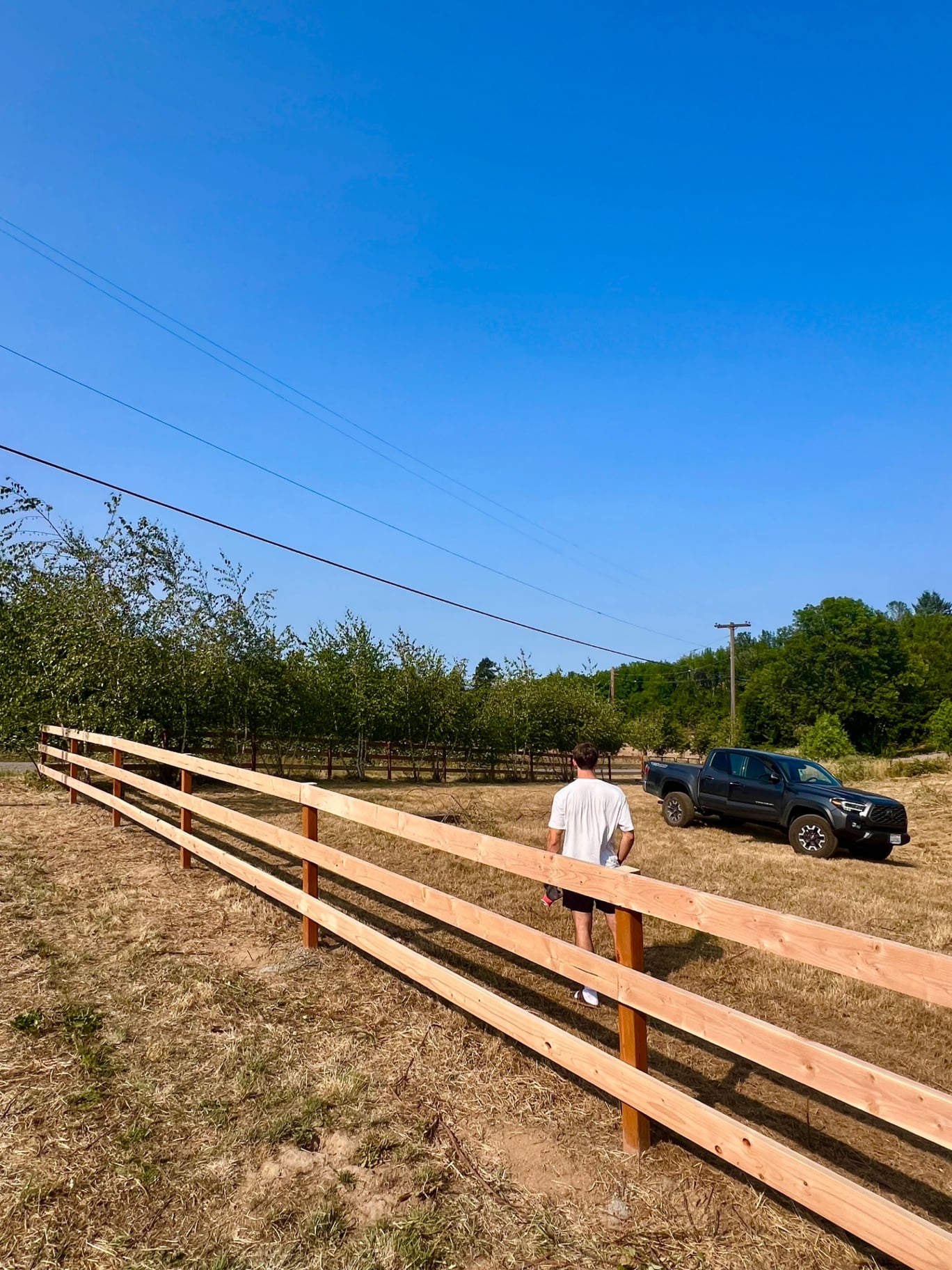 Rural · Cedar Rail Fence Build