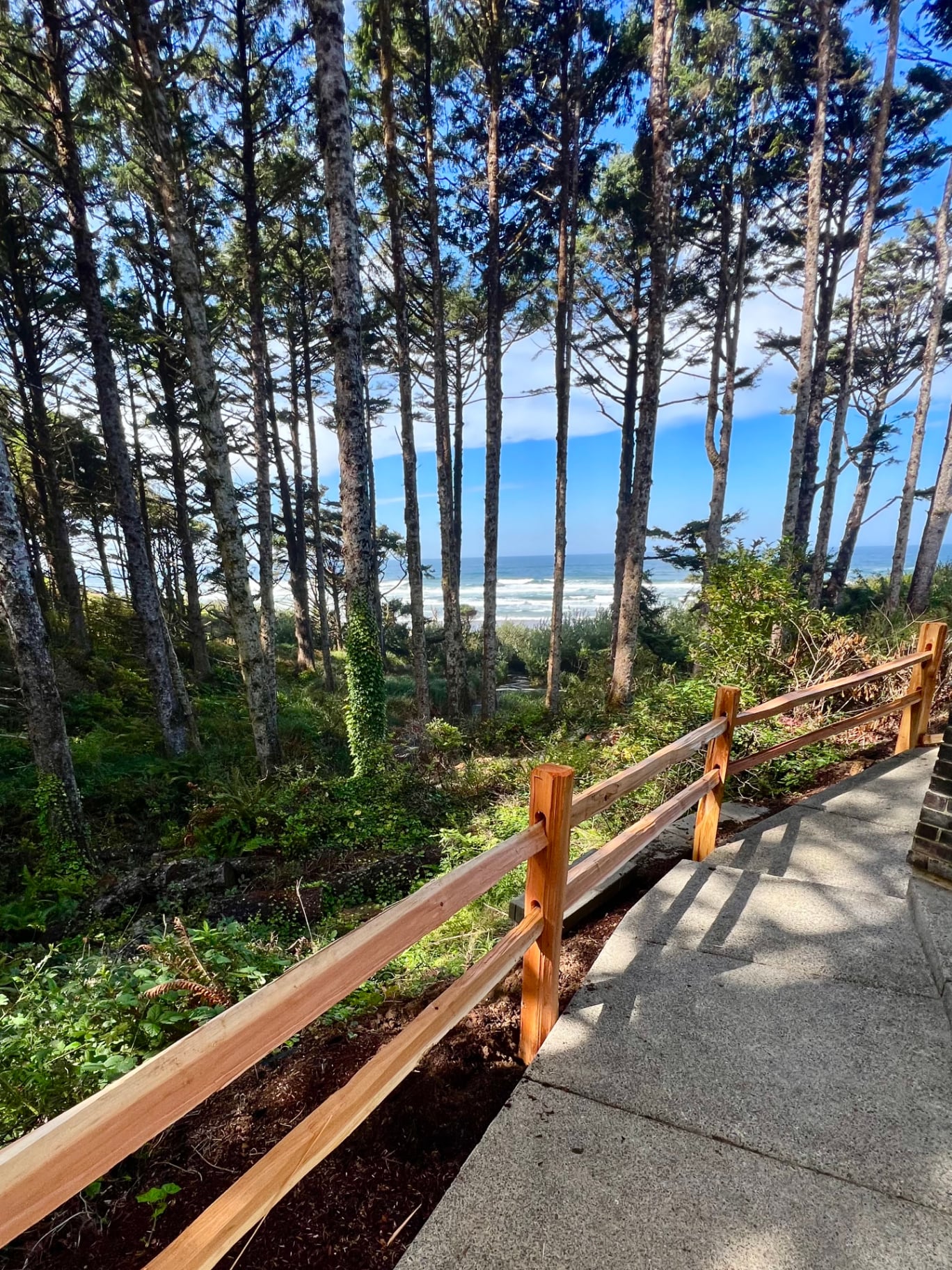 Cannon Beach · Coastal Railing