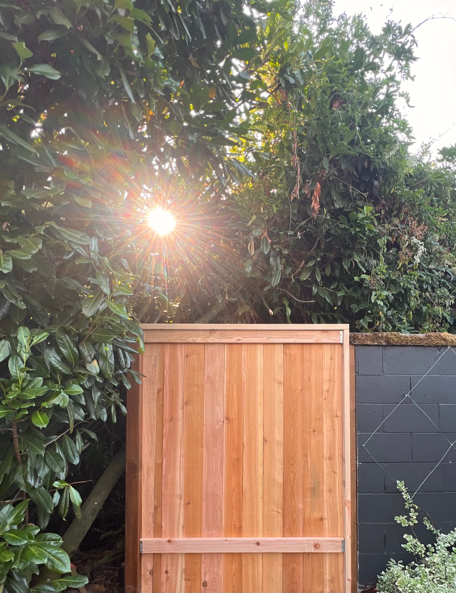 Lake Oswego · Cedar Gate Detail