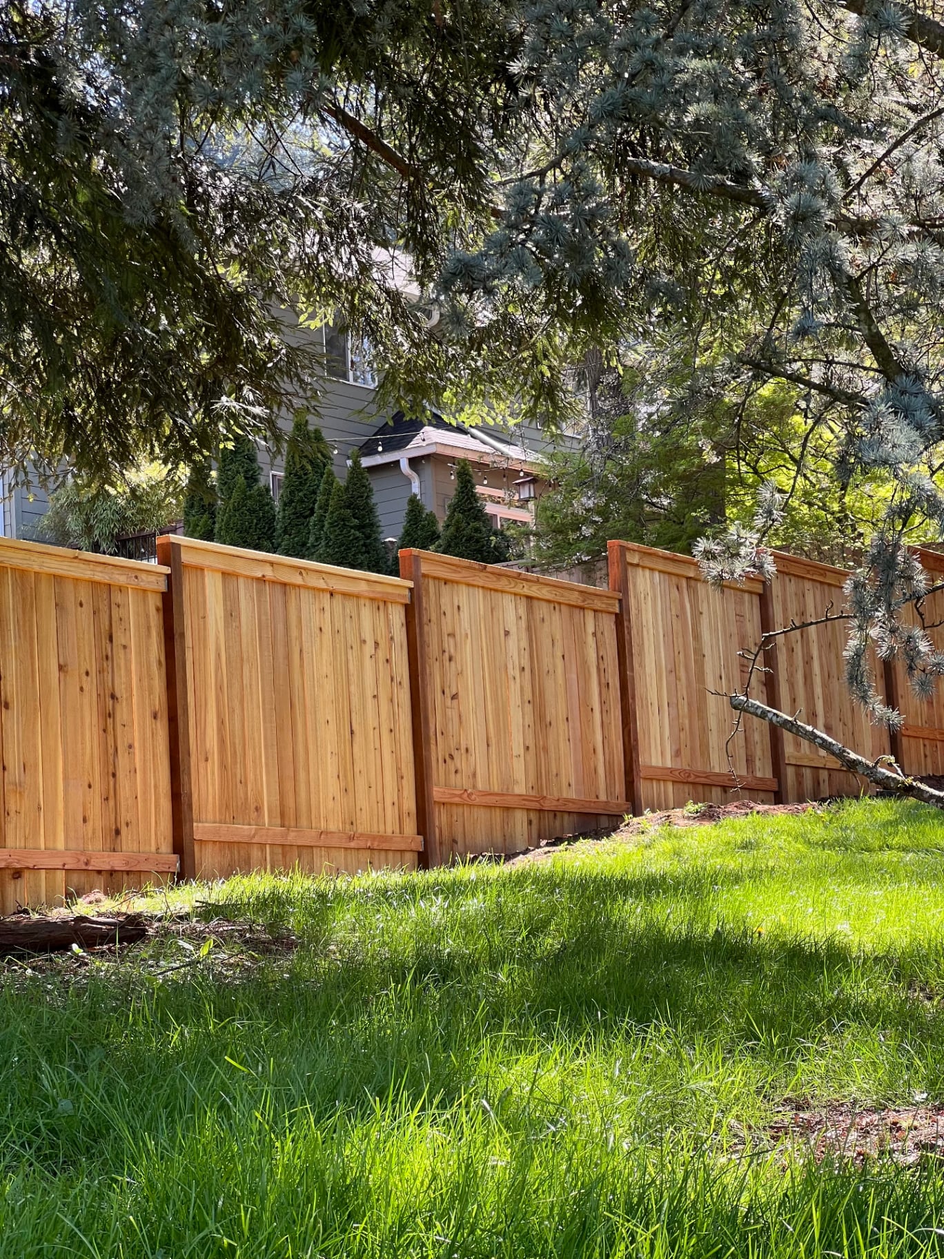 Lake Oswego · Cedar Privacy on Hillside