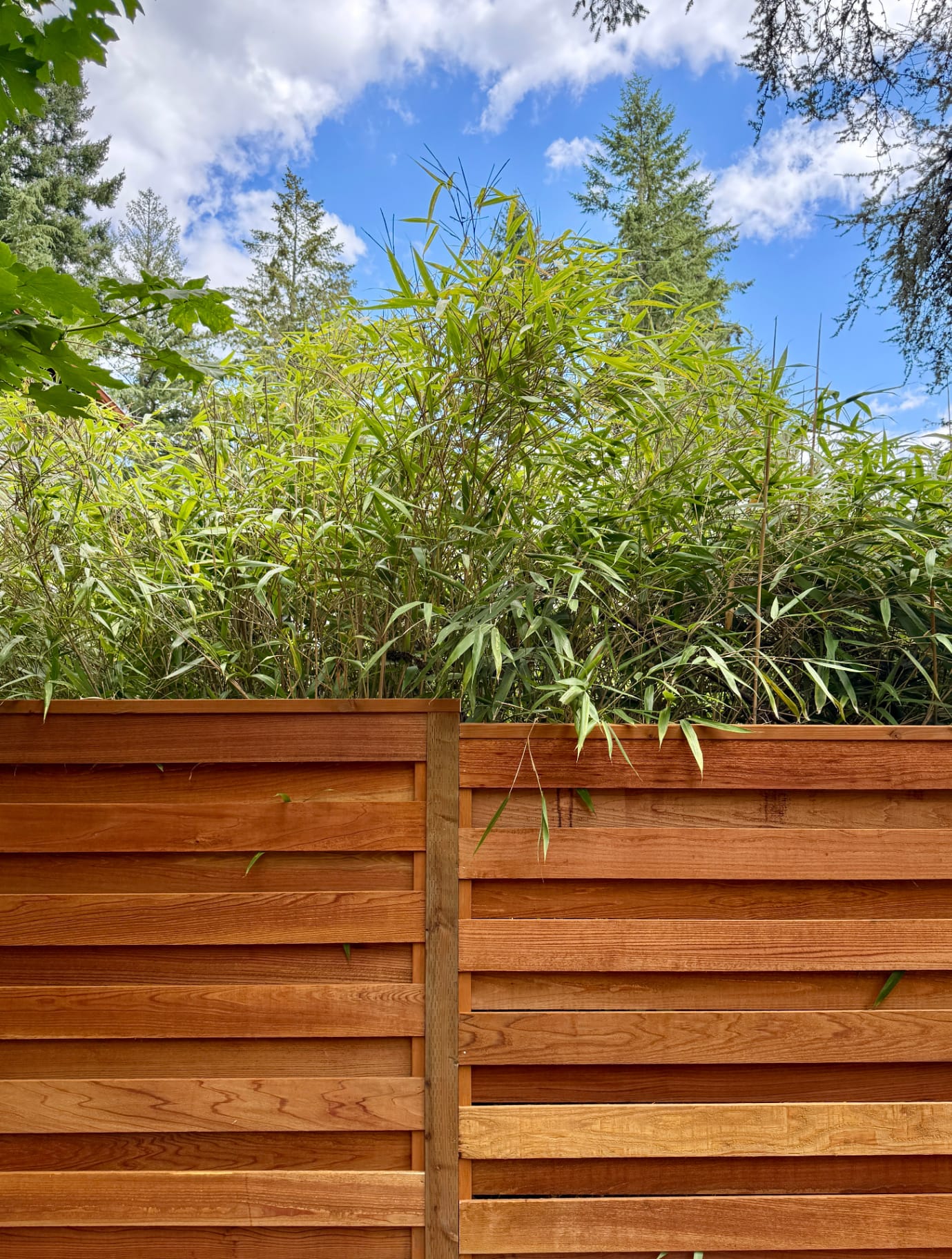 West Linn · Cedar Privacy with Bamboo